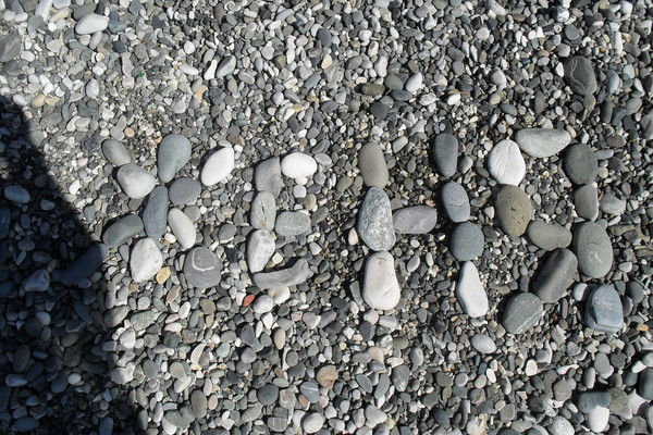 Светлана Филь