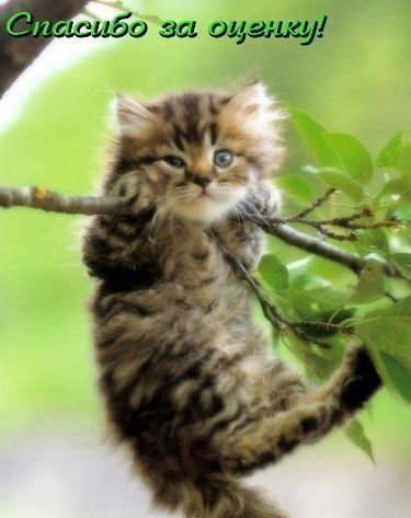 Оксана Девина