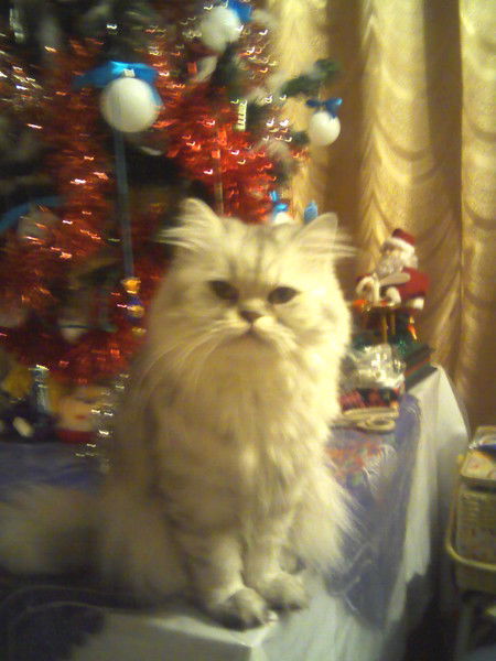 Раиса Голикова