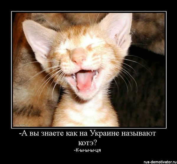 Ольга Степанова