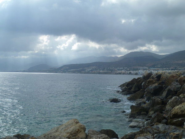 Наталья Маркова