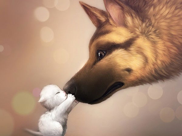 Светлана Михайлова