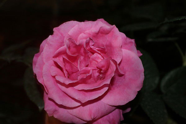 Аминат Таймазова