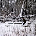 Юра Мезенцев