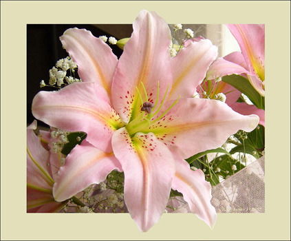 Лилия Иванова