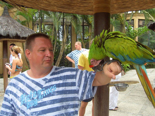 Андрей Кислый