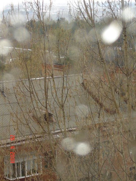 Мария Булдакова