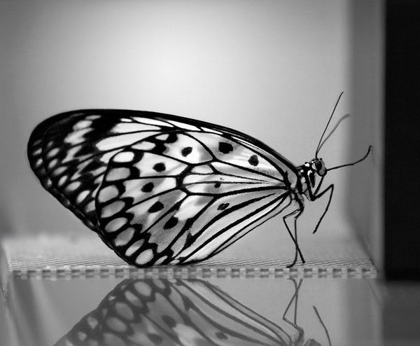 Татьяна Серая