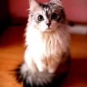 Nurgul Tutkabaeva