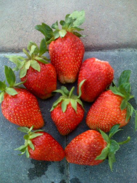 Динара Таймурзинова