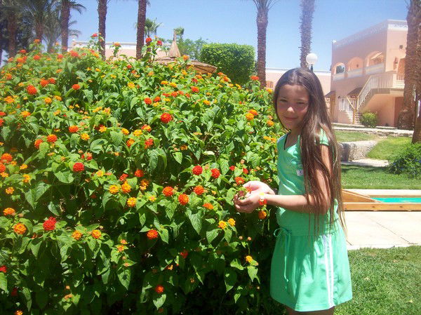 Марина Зорина