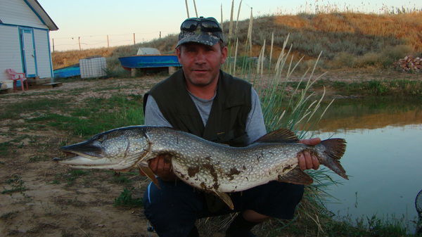 Алексей Маевский