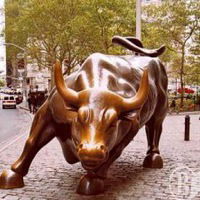 Александр Шеховцев