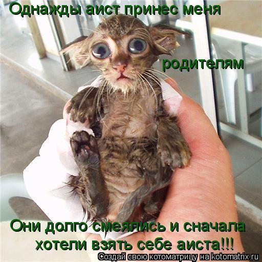 Оксана Жеребцова