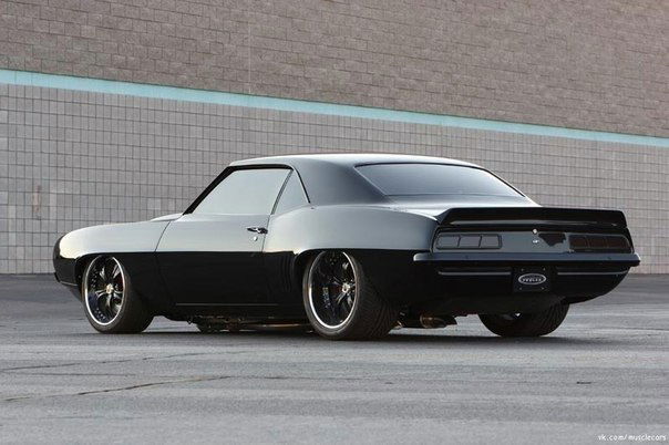 Дима Петров