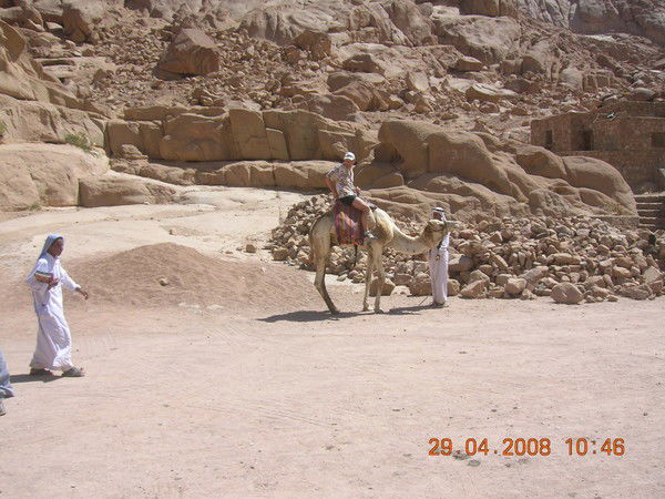 Станислав Боровиков