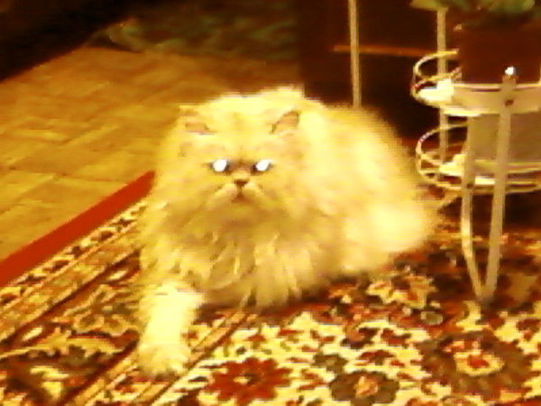 Анна Барабанова