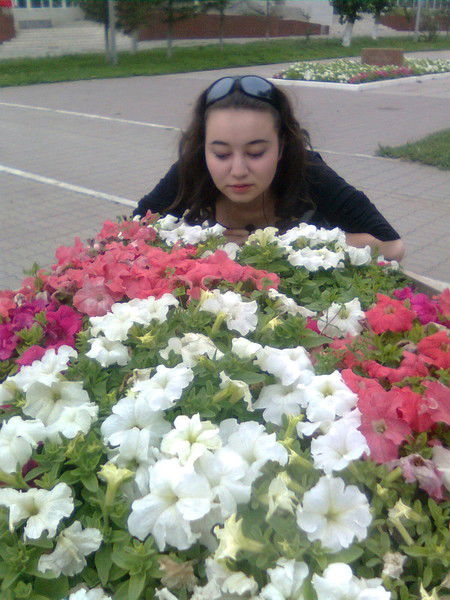 ______Тидель ______