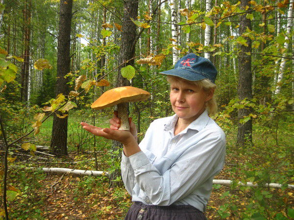 Елена Томилина