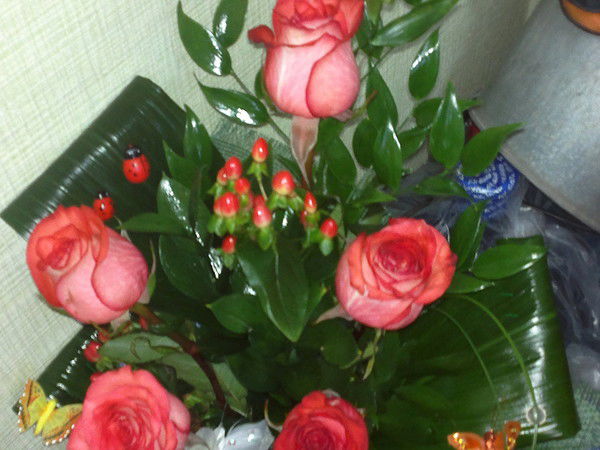 Лилия Колчанова