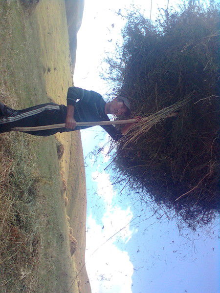 Алмаз Мурзабеков