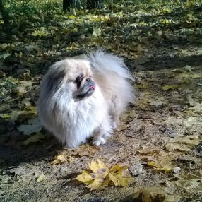 Оксана Гайдук