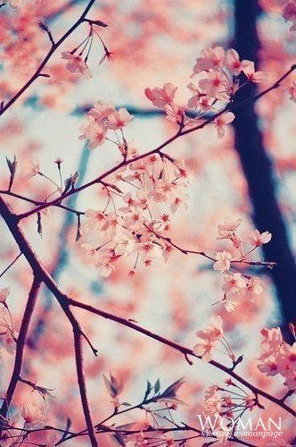 Валерия Горбатенко