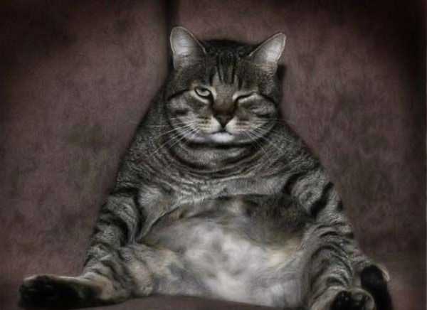 Сергей Коноплёв