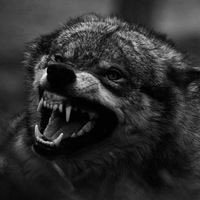 Влад Остапко