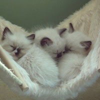 Виктория Мельгунова