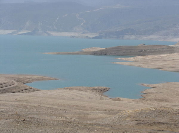 Анжела Ледовская