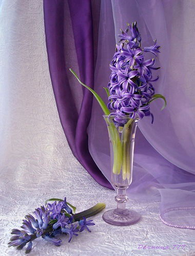 Евгения Квасова