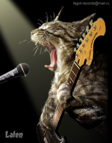 Александр Копылов