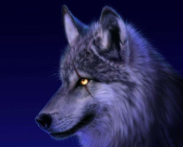 Виктор Синичкин