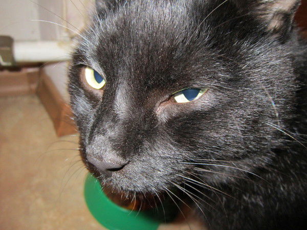 Руслан Токарев