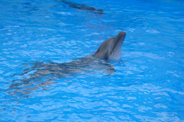 Цявкун Наталья