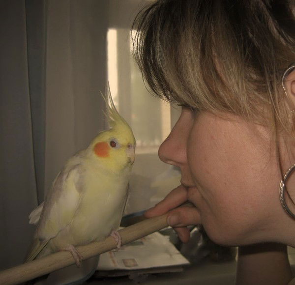 Ольга Сурма