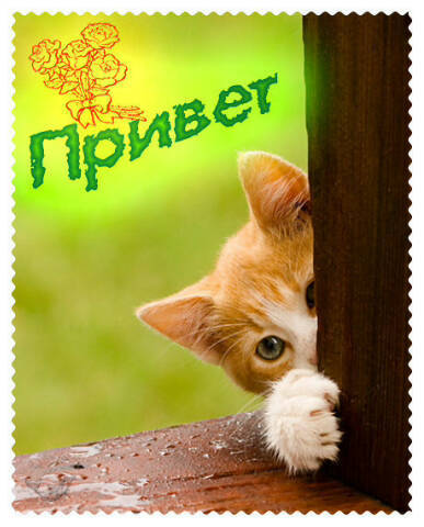 Нурлан Калиев