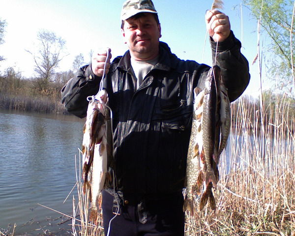 Сергей Кириллов