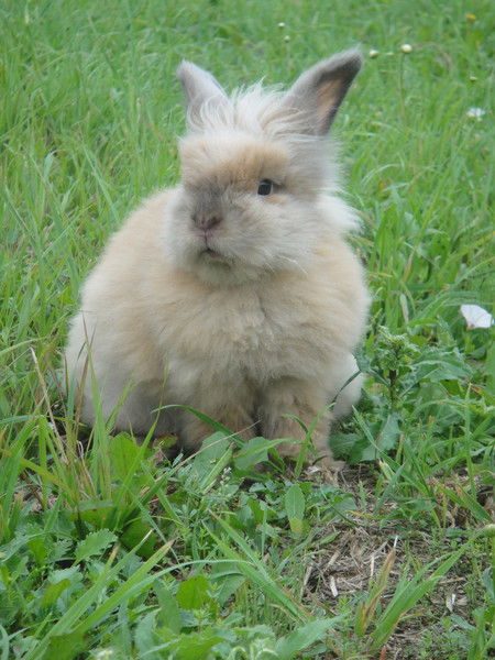 Наташа Иванцова