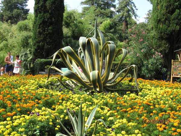 Оксана Хазимуллина