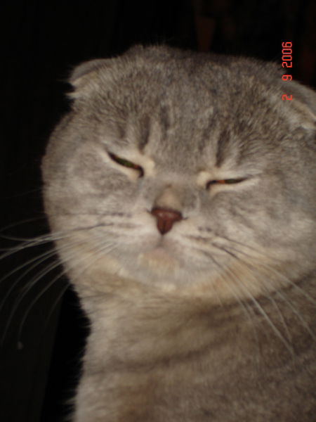 Оксана Сычева