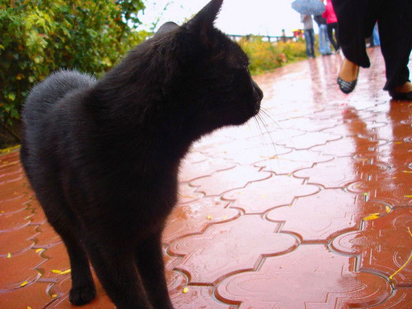 Варвара Леженцева