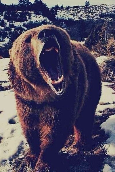 Ваня Павлов