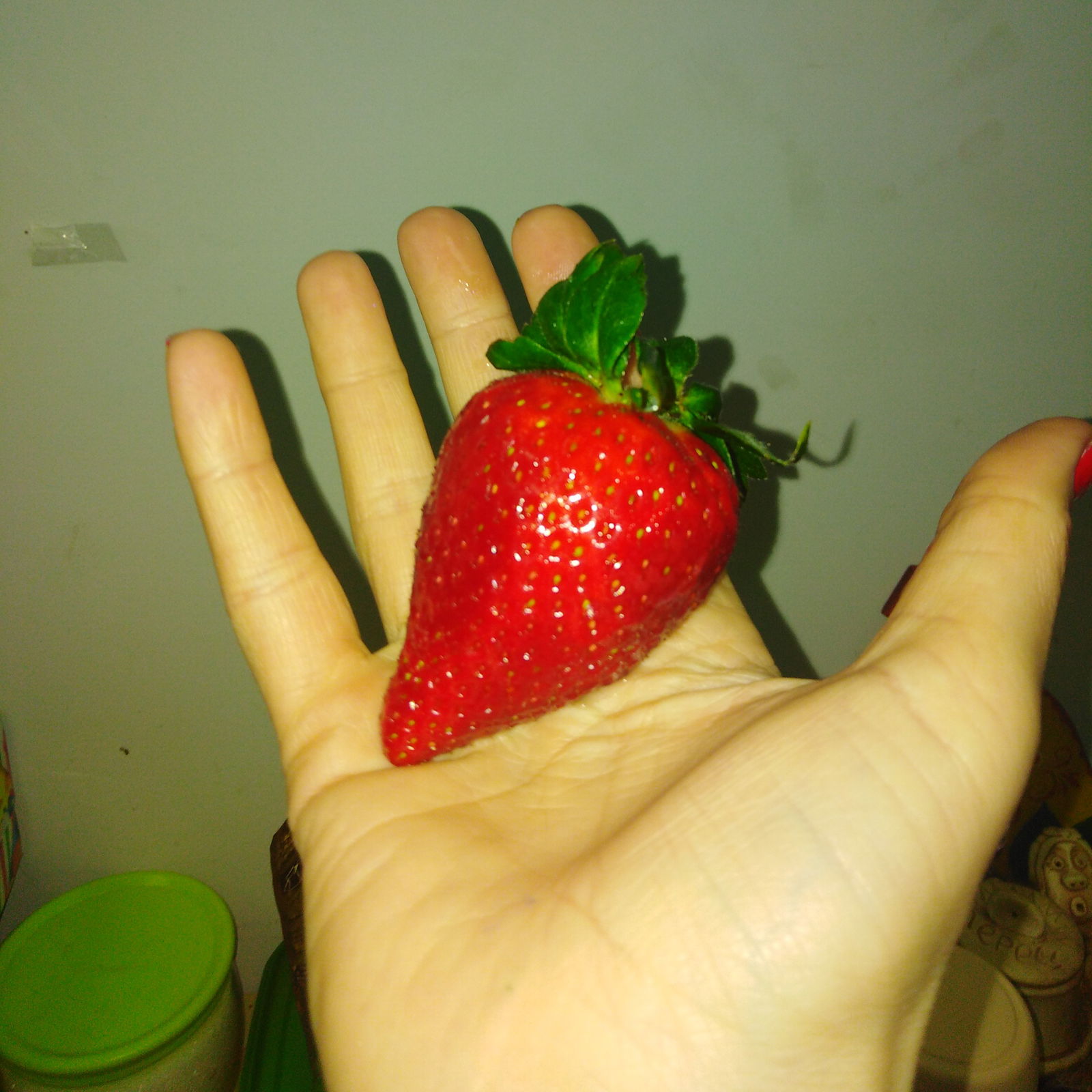 Юлия Гришина