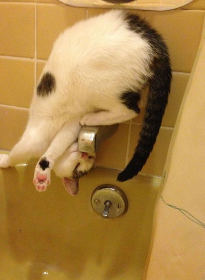 Мила Никонова