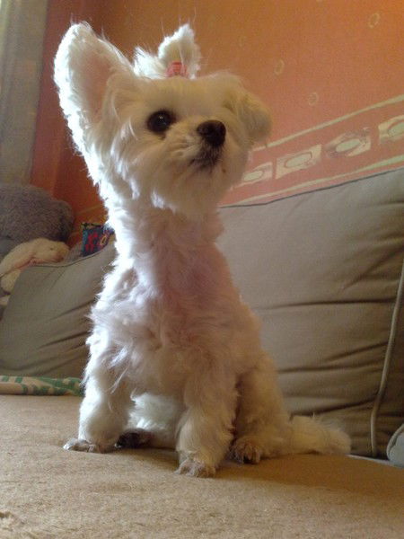 Андрей Кулемин