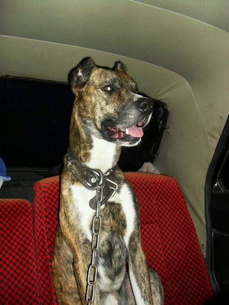 Александр Валентинович