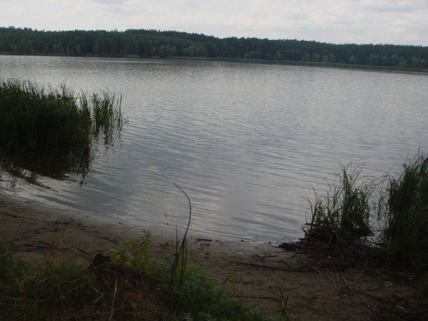 Ольга Кравченко