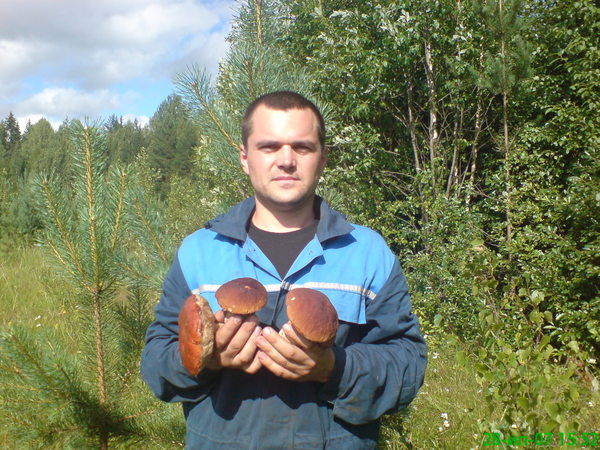 Сергей Скамьин